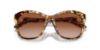 Picture of Ralph Lauren Sunglasses RL8190Q