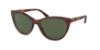 Picture of Ralph Lauren Sunglasses RL8186