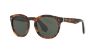 Picture of Ralph Lauren Sunglasses RL8146P