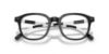 Picture of Polo Eyeglasses PH2283F