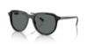 Picture of Polo Sunglasses PH4225