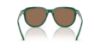 Picture of Polo Sunglasses PH4225F