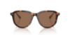 Picture of Polo Sunglasses PH4225