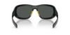 Picture of Polo Sunglasses PH4219U