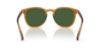 Picture of Polo Sunglasses PH4222U
