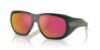 Picture of Polo Sunglasses PH4219U