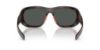 Picture of Polo Sunglasses PH4219U