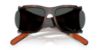 Picture of Polo Sunglasses PH4219U