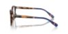 Picture of Polo Eyeglasses PH2278D