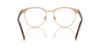 Picture of Polo Eyeglasses PH1226