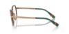 Picture of Polo Eyeglasses PH1231