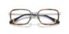 Picture of Polo Eyeglasses PH1225