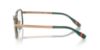 Picture of Polo Eyeglasses PH1225