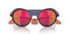 Picture of Polo Sunglasses PH4216QU