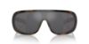 Picture of Polo Sunglasses PH4215U