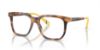 Picture of Polo Eyeglasses PH2269