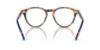 Picture of Polo Eyeglasses PH2268