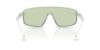 Picture of Polo Sunglasses PH4211U