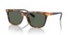 Picture of Polo Sunglasses PH4205U