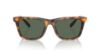 Picture of Polo Sunglasses PH4205U