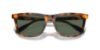Picture of Polo Sunglasses PH4205U