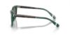 Picture of Polo Sunglasses PH4205U