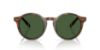 Picture of Polo Sunglasses PH4204U