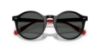 Picture of Polo Sunglasses PH4204U