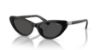 Picture of Polo Sunglasses PH4199U