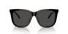 Picture of Polo Sunglasses PH4201U