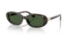 Picture of Polo Sunglasses PH4198U