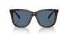 Picture of Polo Sunglasses PH4201U