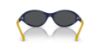 Picture of Polo Sunglasses PH4197U