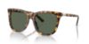 Picture of Polo Sunglasses PH4201U