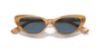 Picture of Polo Sunglasses PH4199U