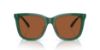 Picture of Polo Sunglasses PH4201U