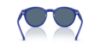 Picture of Polo Sunglasses PH4192