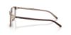 Picture of Polo Eyeglasses PH2253