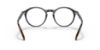 Picture of Polo Eyeglasses PH2246
