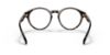 Picture of Polo Eyeglasses PH2243