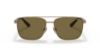 Picture of Polo Sunglasses PH3137