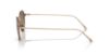 Picture of Giorgio Armani Sunglasses AR6138T