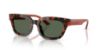 Picture of Emporio Armani Sunglasses EA4233U