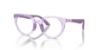 Picture of Emporio Armani Eyeglasses EK3007F