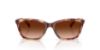 Picture of Emporio Armani Sunglasses EA4238