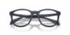 Picture of Emporio Armani Sunglasses EA4211F