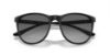 Picture of Emporio Armani Sunglasses EA4210