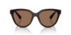 Picture of Armani Exchange Sunglasses AX4148SU