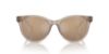 Picture of Armani Exchange Sunglasses AX4144SU
