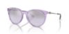 Picture of Armani Exchange Sunglasses AX4140S